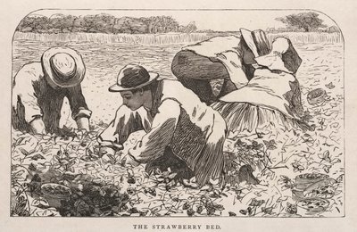 Het aardbeienbed door Winslow Homer