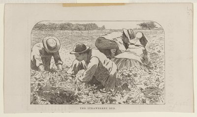 Het aardbeienbed door Winslow Homer