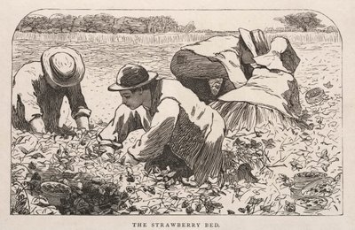 Het aardbeienbed, 1868 door Winslow Homer