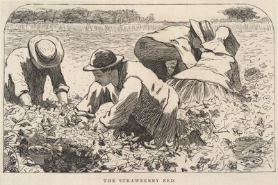 Het aardbeienbed, uit Onze Jonge Mensen, juli 1868 door Winslow Homer