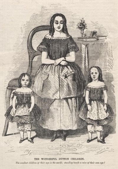 De geweldige kinderen van de familie Dutton door Winslow Homer