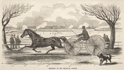 Draven op de Molendam, Boston door Winslow Homer