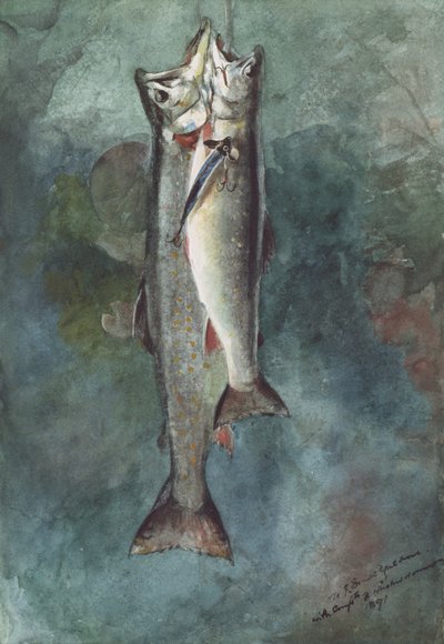 Twee Forellen door Winslow Homer