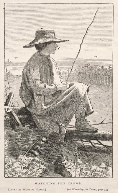 De Kraaien Bekijken door Winslow Homer