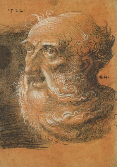 Hoofd Studie, 1522 door Wolf Huber