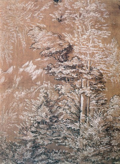 Boomstudie, 1519 door Wolf Huber