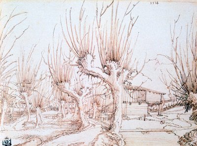 Wilgenplantage, 1514 door Wolf Huber
