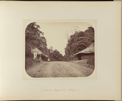 Top of the Poentjak near Buitenzorg door Woodbury and Page