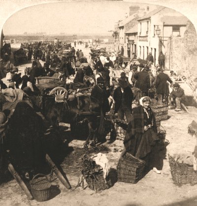 Verkoop van het Levensmiddel van de Ier, de Aardappelmarkt, Galway, Ierland, 1901 door Works and Sun Sculpture Studios