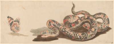 Slang en Vlinder door Workshop of Johann Teyler