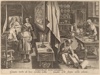 Guaiacum en venerische infectie door Workshop of Philip Galle after Jan van der Straet