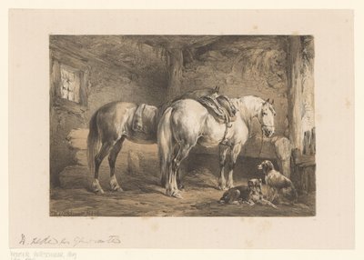 Twee paarden en honden in een stal door Wouter  Verschuur