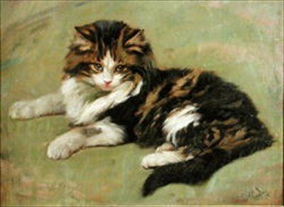 Studie van een kat door Wright Barker