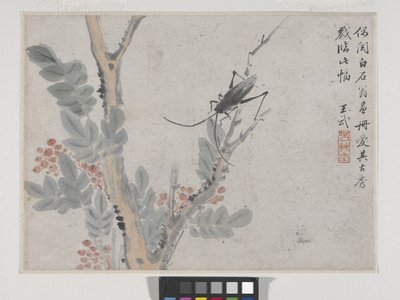 Insect en Boom na Shen Zhou door Wu Wang