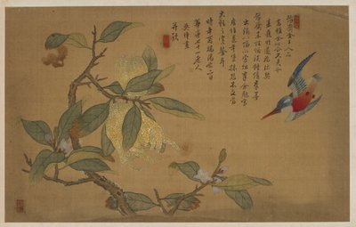 Vogel, Fruit en Bloemen door Wu Zhang