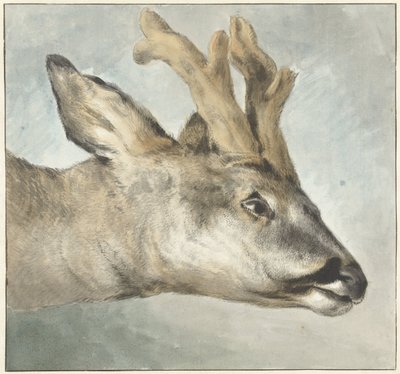 Kop van een ree door Wybrand Hendriks