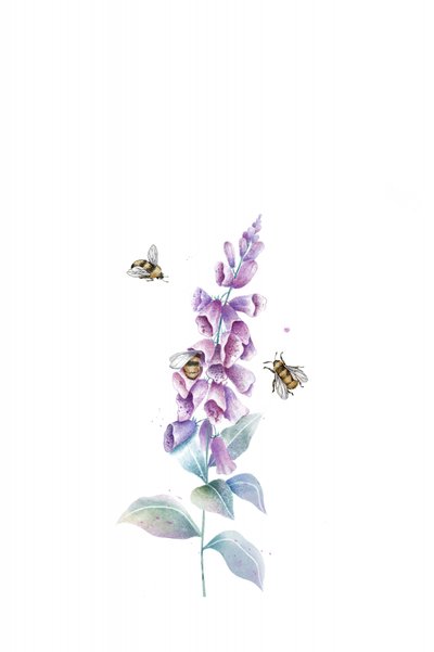 Aquarel: bijen en bloemen door Xuan Thai