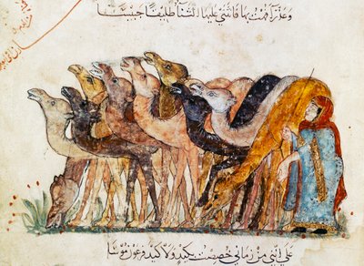 Ms Ar 5847 f.101, Kudde kamelen, uit 