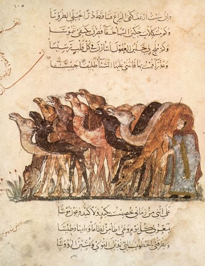 Ms Ar 5847 f.101, Kudde kamelen, uit Al Maqamat (De Bijeenkomsten) door Al Hariri, ca. 1240 door Yahya ibn Mahmud Al Wasiti