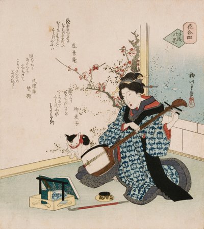 Te-ike no hana "Met de hand geplukte bloem", een term die wordt gebruikt om te verwijzen naar een geisha of courtisane die de vrouw of minnares is geworden van de patroon die haar contract met een bordeel heeft afgekocht, illustrerend een vrouw die een sam door Yanagawa II Shigenobu