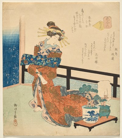 Nummer Zes: Bloemen van de Hoofdstad, uit de serie Bloemen door Yanagawa Shigenobu II