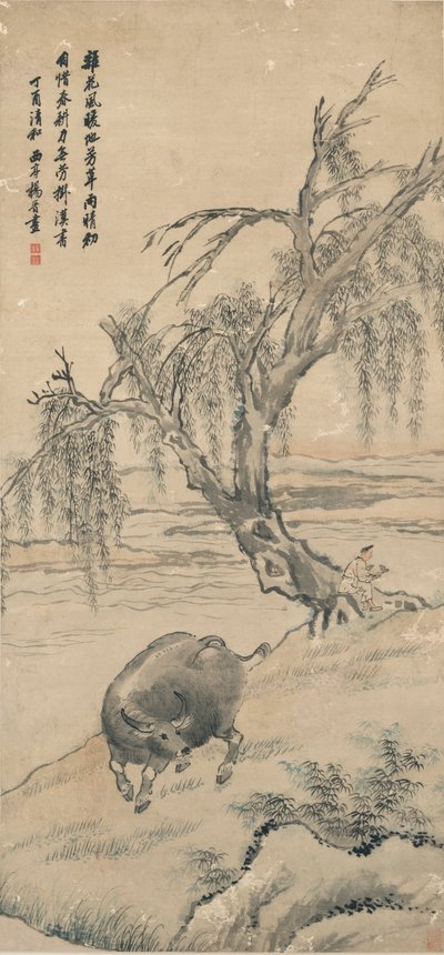 Buffel op Willow Bank door Yang Jin