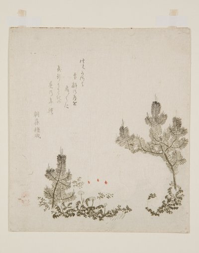 (kleur houtsnede) door Yashima Gakutei
