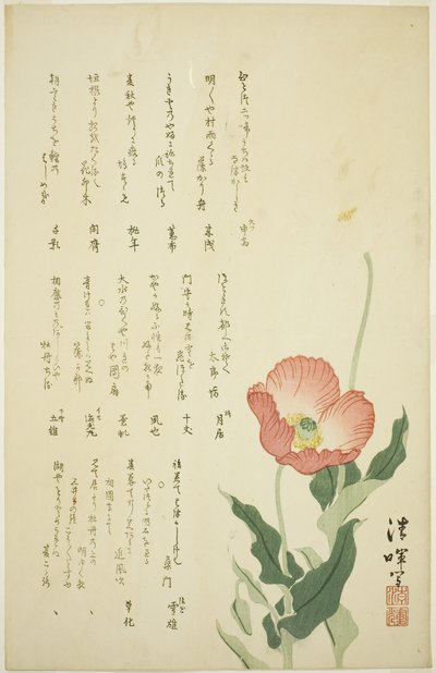 Twee klaprozen door Yokoyama Seiki