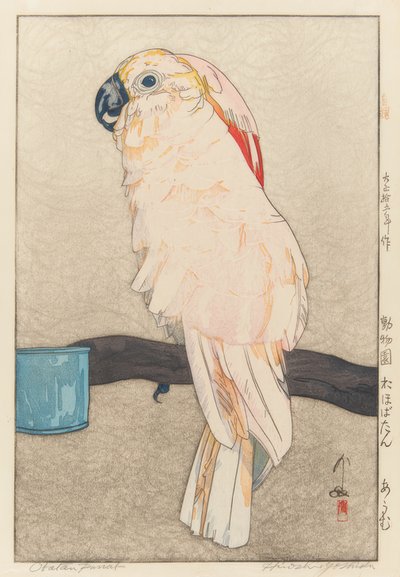 Obatan Parkiet door Yoshida Hiroshi