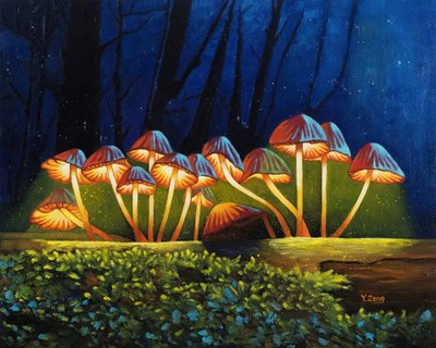 Nachtlicht gloeiende paddenstoelen door Yue Zeng