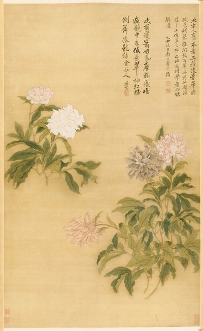 Pioenen door Shouping Yun