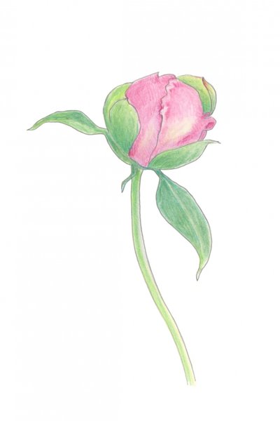  door Yvonne Gustafsson
