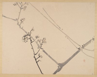 Schilderen door Zeshin Shibata