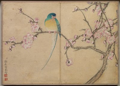Bureau Album: Bloem- en Vogel Schilderijen (vogel met pruimenbloesems) door Zhang Ruoai