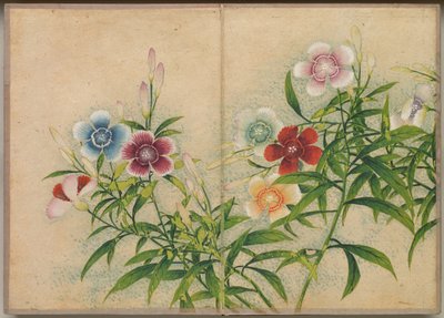 Bureau Album: Bloem- en Vogel Schilderijen (anjer) door Zhang Ruoai