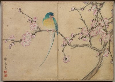 Bureaualbum: Bloemen- en vogel schilderijen Vogel met pruimenbloesems, 18e eeuw door Zhang Ruoai