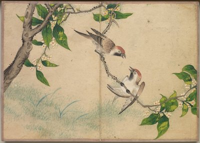 Bureaualbum: Bloemen- en vogel schilderijen Kletsende mussen, 18e eeuw door Zhang Ruoai