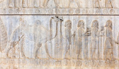 Oud reliëf van de Achaemeniden; delegatie van de Parthen met kameel; Apadana Paleis; archeologische site; oude Perzische stad Persepolis; UNESCO Werelderfgoed; Fars Provincie; Iran; Azië door Frederick (attr. to) Barnard