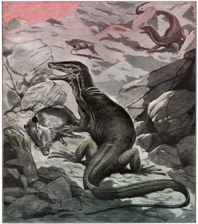 Aziatische watermonitor, ca 1925 door . .