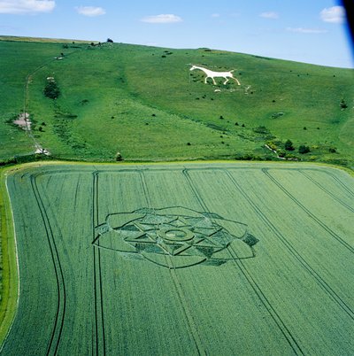 Graancirkel in tarweveld, Milk Hill, Alton Priors, Vale of Pewsey, Wiltshire door Ferdinand Georg Waldmuller
