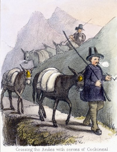 De Andes oversteken met serons van cochenille, ca. 1845 door Frederick (attr. to) Barnard