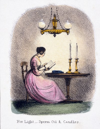 Voor licht, spermaceti-olie en kaarsen, c 1845 door Frederick (attr. to) Barnard