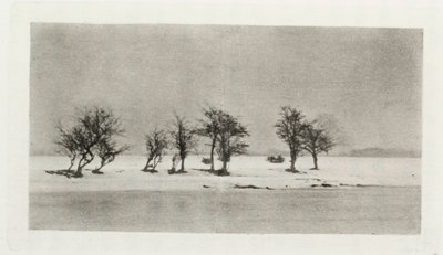 Knoestige doornbomen door Frederick (attr. to) Barnard