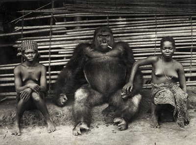 Gorilla (gelatinezilverdruk) door Hippolyte Lalaise Devéria