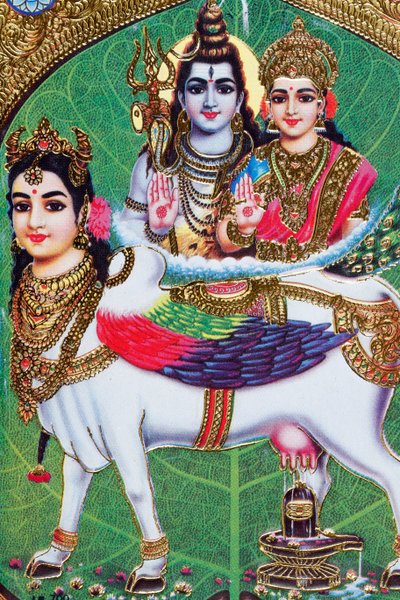 Hindoe god Shiva en godin Parvathi. door . .