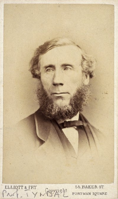 John Tyndall, Ierse natuurkundige, ca. 1875 door Frederick (attr. to) Barnard