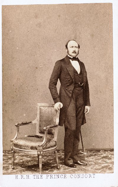 Prins Albert, gemaal van koningin Victoria, ca. 1860 door Frederick (attr. to) Barnard