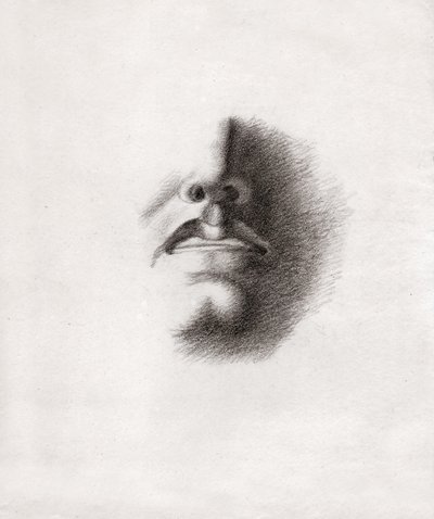 Studie voor het gezicht van een man: mond en neus. circa 1830 (tekening) door . .