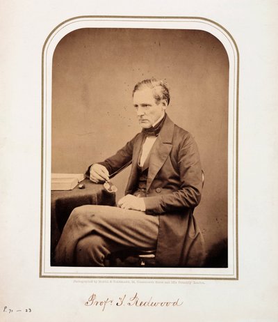 Theophilus Redwood, Welshe chemicus door Ferdinand Georg Waldmuller