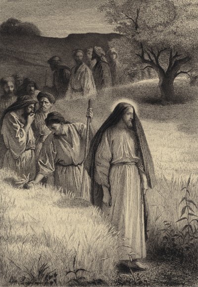 Jezus en zijn discipelen in het korenveld door after Albert Robida